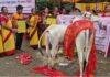 Jamshedpur Gau Samman Aahwan Abhiyan 1