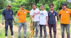 Jamshedpur Snake Rescue