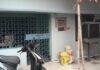 CBI Cyber Fraud Raid Jamshedpur 1