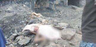 Hazaribagh Illegal Coal Mine Accident: कोयला खदान में चाल धंसी, 2 मजदूरों की मौत; शव छिपाने की चर्चा से मचा हड़कंप