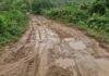 Jamshedpur Road Condition: जमशेदपुर में विकास के दावों की खुली पोल! सड़क सुधारने खुद उतरीं महिलाएं Jamshedpur Road Condition: जमशेदपुर में विकास के दावों की खुली पोल! सड़क सुधारने खुद उतरीं महिलाएं 2