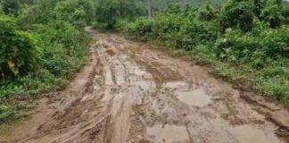 Jamshedpur Road Condition: जमशेदपुर में विकास के दावों की खुली पोल! सड़क सुधारने खुद उतरीं महिलाएं Jamshedpur Road Condition: जमशेदपुर में विकास के दावों की खुली पोल! सड़क सुधारने खुद उतरीं महिलाएं 2
