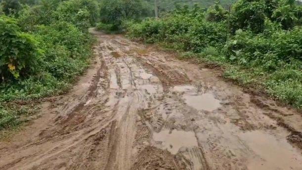 Jamshedpur Road Condition: जमशेदपुर में विकास के दावों की खुली पोल! सड़क सुधारने खुद उतरीं महिलाएं 2 Jamshedpur Road Condition: जमशेदपुर में विकास के दावों की खुली पोल! सड़क सुधारने खुद उतरीं महिलाएं 2