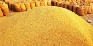 Jharkhand Market: कम बारिश का असर बाजार पर, धान की आवक घटी, Ranchi में चावल हुआ महंगा