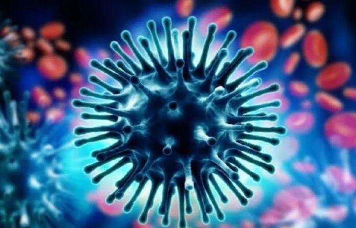 Swine Flu Jharkhand: झारखंड में Swine Flu की दस्तक, रिम्स में 11 में 8 सैंपल पॉजिटिव; स्वास्थ्य विभाग अलर्ट