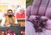 लौंग खाते हैं सीएम सम्राट चौधरी