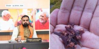 लौंग खाते हैं सीएम सम्राट चौधरी ! RJD प्रवक्ता प्रियंका भारती को क्यों लगा खैनी ? लौंग खाते हैं सीएम सम्राट चौधरी