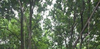 Hazaribagh Agro Tourism 3