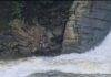 Dhanbad Bhatinda Fall
