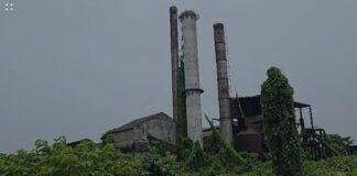 East Champaran New Sugar Mills: पूर्वी चंपारण में खुलेंगी दो नई चीनी मिलें, गन्ना किसानों को मिल सकती है बड़ी राहत East Champaran New Sugar Mills