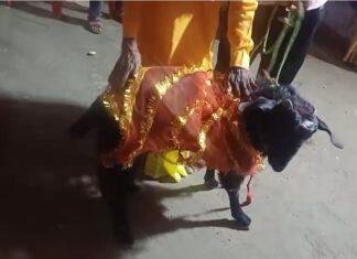 पूर्वी चंपारण में बकरे का अनोखा जन्मदिन