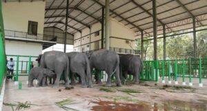 Vantara Indonesia Wildlife Conservation