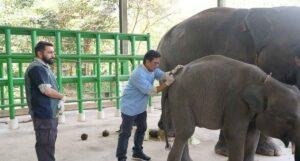 Vantara Indonesia Wildlife Conservation 1