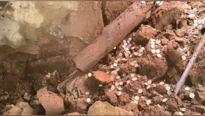 Hazaribagh Silver Coins Found
