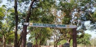 Betla National Park