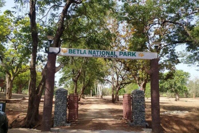 Betla National Park