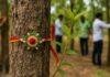Jharkhand Tree Rakhi Campaign