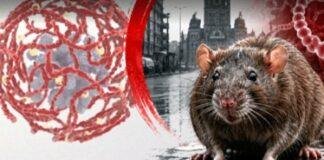 Ranchi Leptospirosis Cases