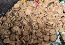 Shravani Mela 2026 Food Safety