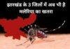 Malaria in Jharkhand: झारखंड में Malaria का बढ़ा खतरा, 25 हजार मरीज मिले डेंगू के 79 मामले, धनबाद में जांच किट खत्म