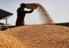 Paddy Procurement 2026-27: झारखंड में धान खरीद का नया Target, टूटे चावल से बनेगा Ethanol, 10% से ज्यादा ब्रोकन राइस पर रोक