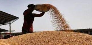 Paddy Procurement 2026-27: झारखंड में धान खरीद का नया Target, टूटे चावल से बनेगा Ethanol, 10% से ज्यादा ब्रोकन राइस पर रोक Paddy Procurement 2026-27: झारखंड में धान खरीद का नया Target, टूटे चावल से बनेगा Ethanol, 10% से ज्यादा ब्रोकन राइस पर रोक