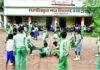 Jharkhand Government School:झारखंड के सरकारी स्कूलों में बच्चों को मिलेगा मडुआ का हलुआ, Mid Day Meal में जुड़ सकता है नया पौष्टिक व्यंजन