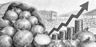 Onion Price Hike: साढ़े तीन महीने में 82% महंगा हुआ प्याज, जानिए कब तक घट सकते हैं दाम