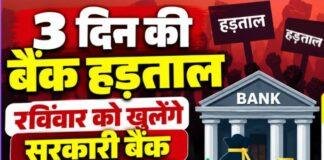 Bank Strike 2026: 3 दिन की हड़ताल से पहले रविवार को खुलेंगे सरकारी बैंक, जानें क्या रहेगा खुला