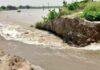 Bihar Flood: बगहा में गंडक नदी ने पार किया Highest Flood Level, चंपारण तटबंध में 10 मीटर का Breach