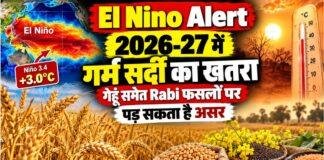 El Nino Alert: 2026-27 में गर्म सर्दी का खतरा, गेहूं समेत Rabi फसलों पर पड़ सकता है असर