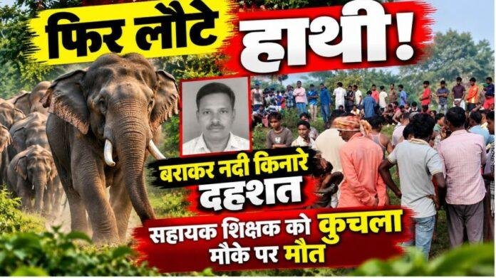 Dhanbad Elephant Attack: टुंडी में हाथियों के झुंड ने सहायक शिक्षक को कुचला, मौके पर मौत