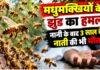 Latehar News: मधुमक्खियों के झुंड का हमला, नानी के बाद 3 साल के नाती की भी मौत