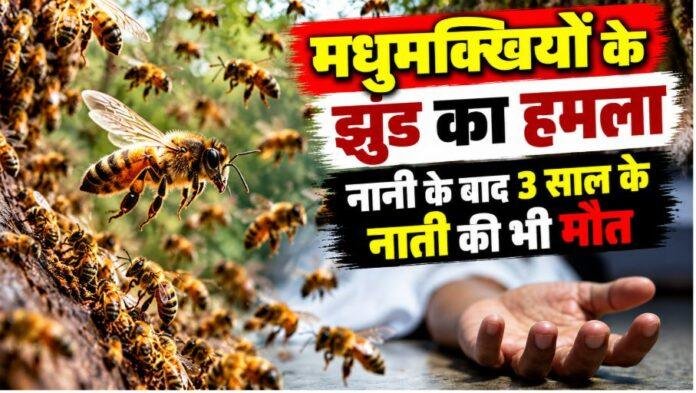 Latehar News: मधुमक्खियों के झुंड का हमला, नानी के बाद 3 साल के नाती की भी मौत