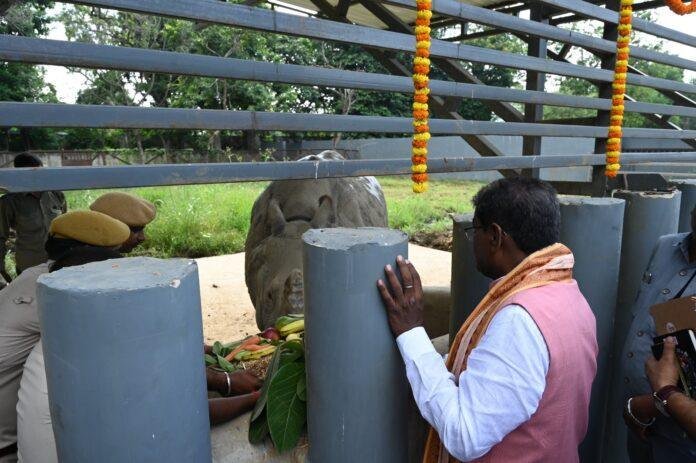 Bihar Rhino Conservation: वीटीआर में बनेगा गैंडा संरक्षण क्षेत्र, राजगीर जू सफारी में भी जल्द दिखेगा Rhino