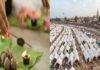 Gayaji Pitru Paksha Mela 2026: गयाजी में 17 दिवसीय पितृपक्ष मेले की तैयारी पूरी, 20 लाख से अधिक श्रद्धालुओं के आने की उम्मीद