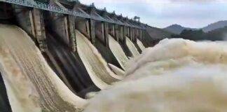 Maithon Panchet Dam Water Level