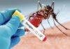 Jamshedpur Dengue News
