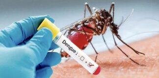 Jamshedpur Dengue News