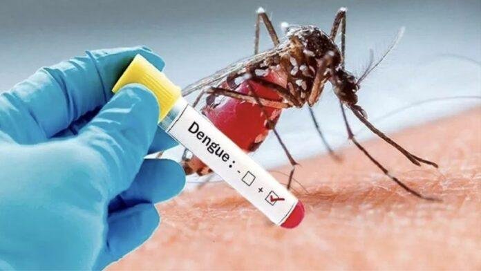 Jamshedpur Dengue News