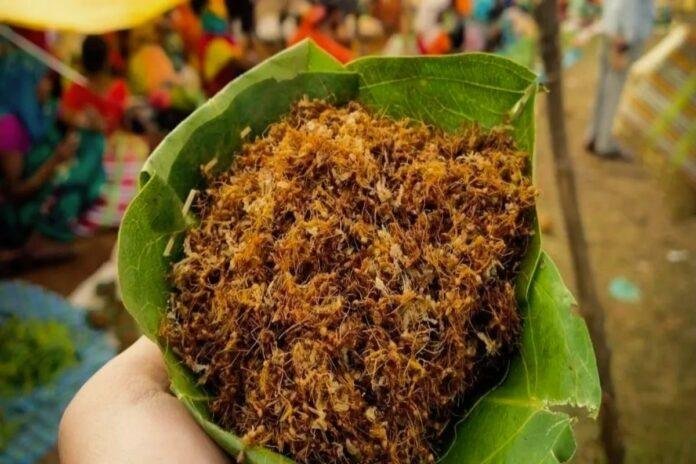 लाल चींटी की चटनी क्यों खाते हैं झारखंड के आदिवासी?