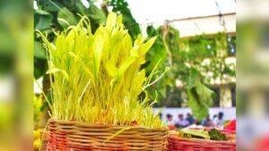 Karma Puja Traditional Dishes 1