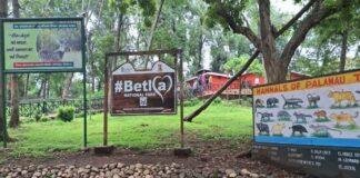 Betla National Park: 1 अक्टूबर से खुलेगा बेतला नेशनल पार्क, नए पर्यटन सत्र में बढ़ेगा शुल्क और सख्ती