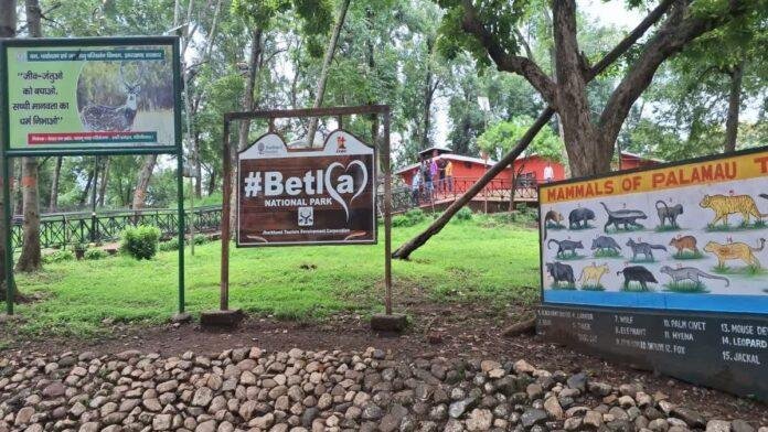 Betla National Park: 1 अक्टूबर से खुलेगा बेतला नेशनल पार्क, नए पर्यटन सत्र में बढ़ेगा शुल्क और सख्ती