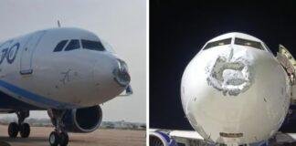 Patna Lucknow Flight: 17 हजार फीट की ऊंचाई पर विमान पर गिरी आकाशीय बिजली, 176 यात्री सुरक्षित