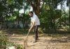 Panapur Flood Relief 3
