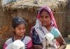 Seemanchal Jeevika Goat Producer: बकरी पालन से लखपति बनीं सीमांचल की महिलाएं, ‘पशु सखी’ और 44 कलेक्शन सेंटरों से आई नई क्रांति Seemanchal Jeevika Goat Producer Company