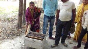 Bihar Jeevika Honey Business: मधुमक्खी पालन से जीविका दीदियों ने खड़ा किया 5.4 करोड़ का कारोबार, 11,855 महिलाओं को मिला रोजगार | 22Scope News Bihar Jeevika Honey Business 3