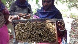 Bihar Jeevika Honey Business: मधुमक्खी पालन से जीविका दीदियों ने खड़ा किया 5.4 करोड़ का कारोबार, 11,855 महिलाओं को मिला रोजगार | 22Scope News Bihar Jeevika Honey Business 2
