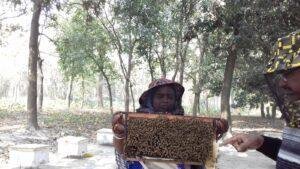 Bihar Jeevika Honey Business: मधुमक्खी पालन से जीविका दीदियों ने खड़ा किया 5.4 करोड़ का कारोबार, 11,855 महिलाओं को मिला रोजगार | 22Scope News Bihar Jeevika Honey Business 4